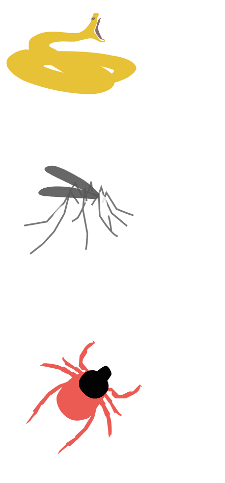 Wildlife risk indicators